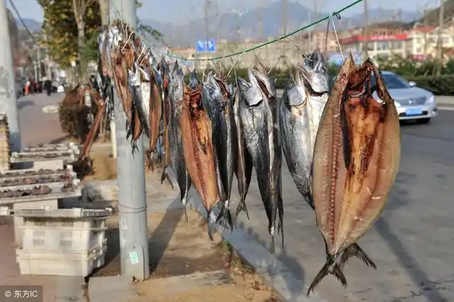 接下来呢,就可以把腌制的鲅鱼,倒挂起来,等着风干日晒,水份满满减少