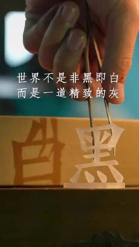 世界不是非黑即白,而是一道精致的灰