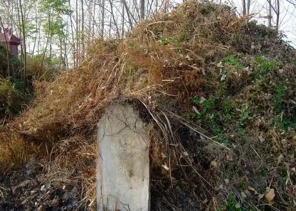 越来越多的农民觉得扫墓上坟没意义?坟头塌和坟上无草,也很正常