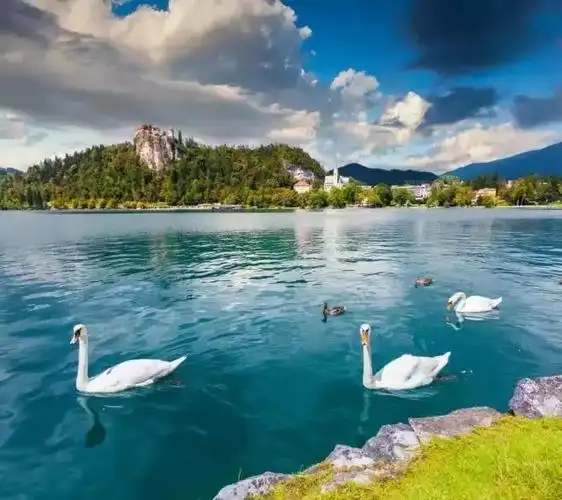 微信头像也讲究风水有禁忌千万别乱用