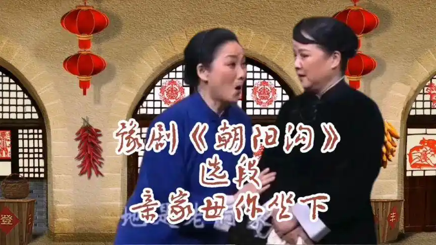 豫剧《朝阳沟》 经典唱段 亲家母你坐下