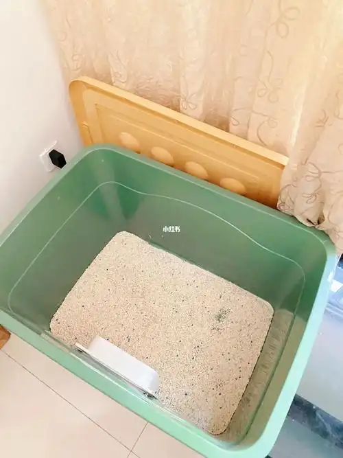 当晚直接下单大家都说好的平替猫砂盆——收纳箱!