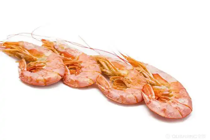 虾的图片_图片大全