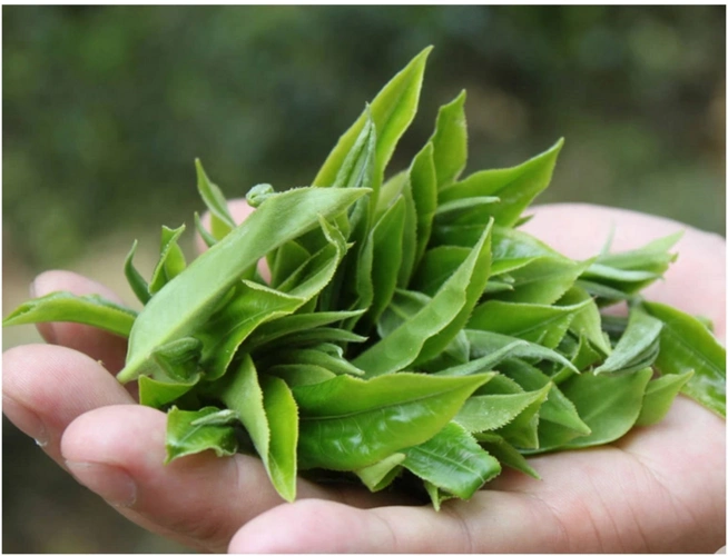 易佑云南红茶 纯手工小叶种 野生特级红茶茶叶 散装古树滇红茶-tmall.