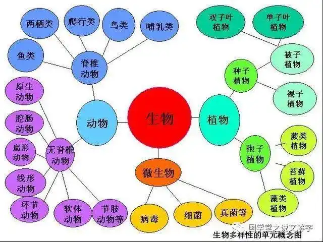 说文解字域界门纲目科属种巨大的生物群分类