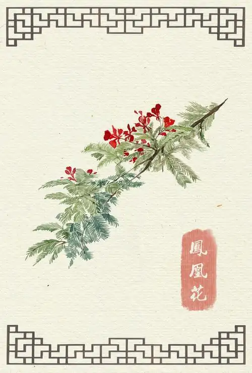 凤凰花@日出的小太阳采集到水彩手绘花卉