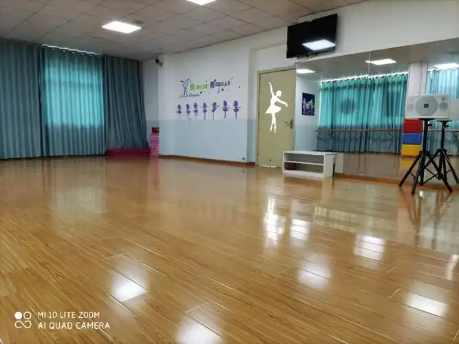优美的拉丁舞教室