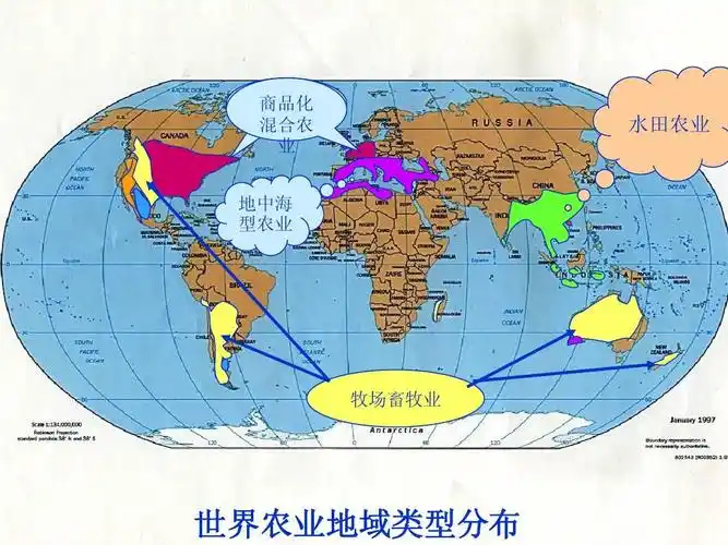 混合农 水田农业 业 地中海 型农业 牧场畜牧业 世界农业地域类型分布