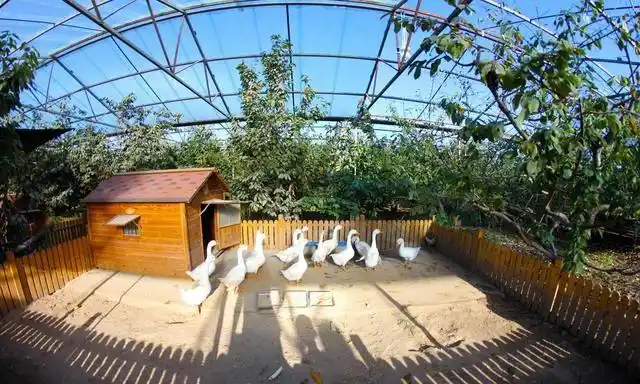 北京私藏小众家庭农场,室内室外项目多,孩子能玩一整天