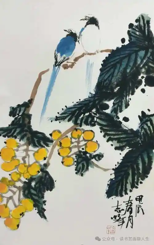 他学习金农,从金农画繁密的梅花上得到启发,把一树枇杷画得密不透风