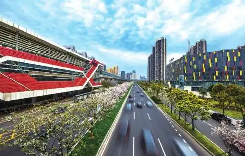 宁波市北仑区委宣传部/供图