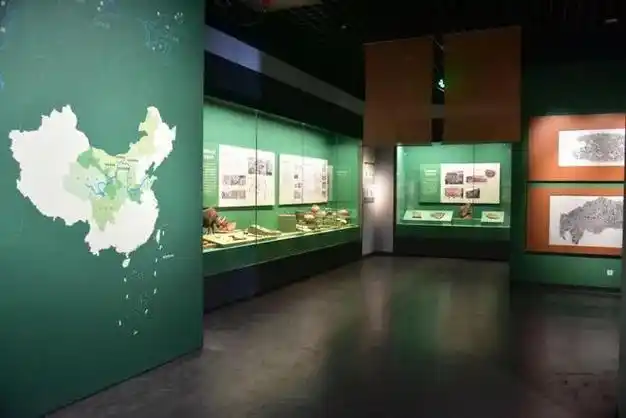 全省第一!刚刚,青岛与故宫博物院同级别的博物馆再迎新增