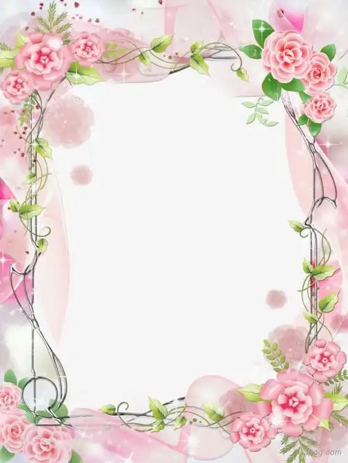 粉色鲜花藤蔓边框