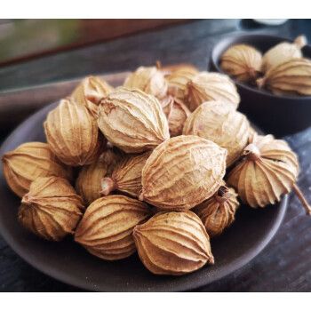 香砂仁大料  川砂仁云南砂仁香料调料炖肉卤菜调料 香砂仁 500g()