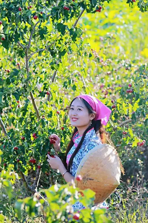 山楂树下的姑娘