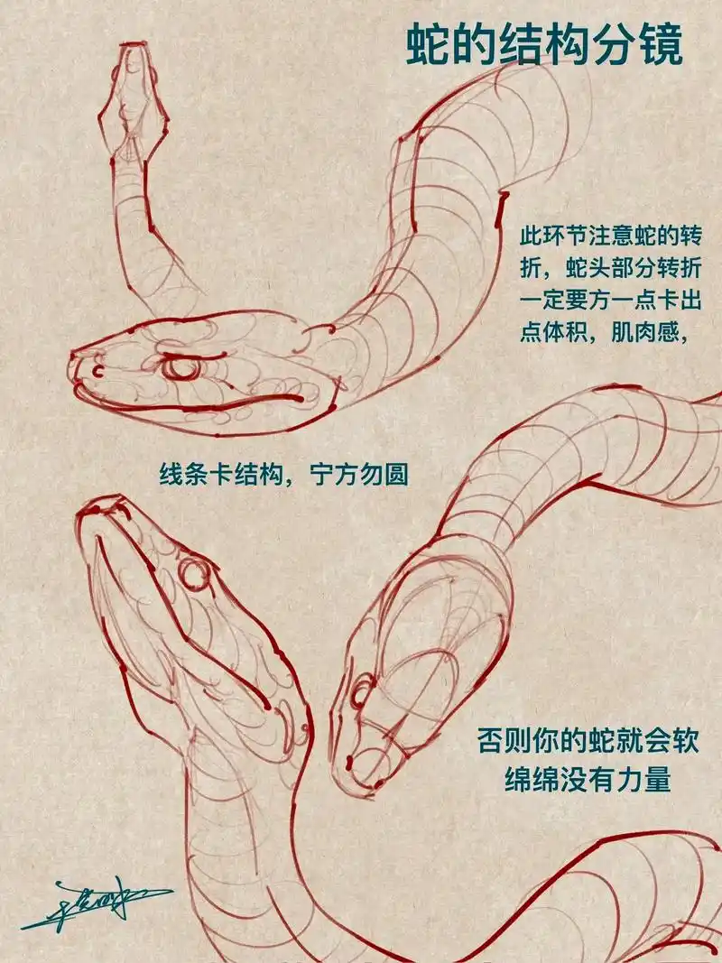蛇头绘画分镜干活分享