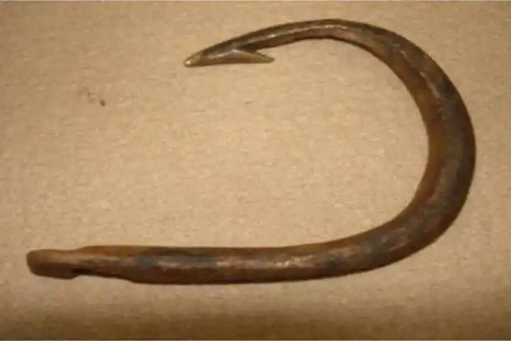 纵横正能量读金色的鱼钩有感