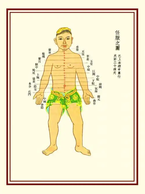 任脉为阴脉之海_正经奇经八脉