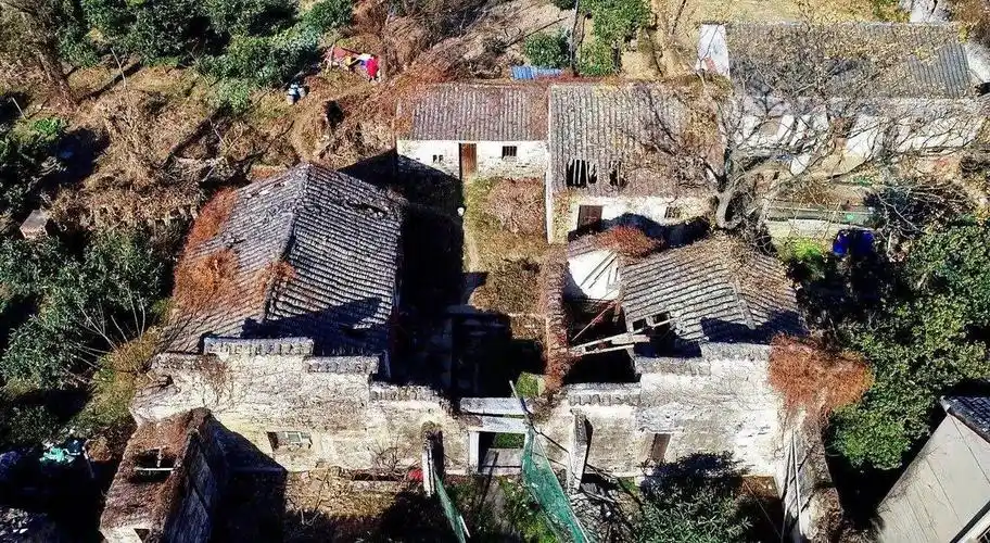 苏州头条#其实苏州无人村是真的少,也就这么一处类似无人村的无人村