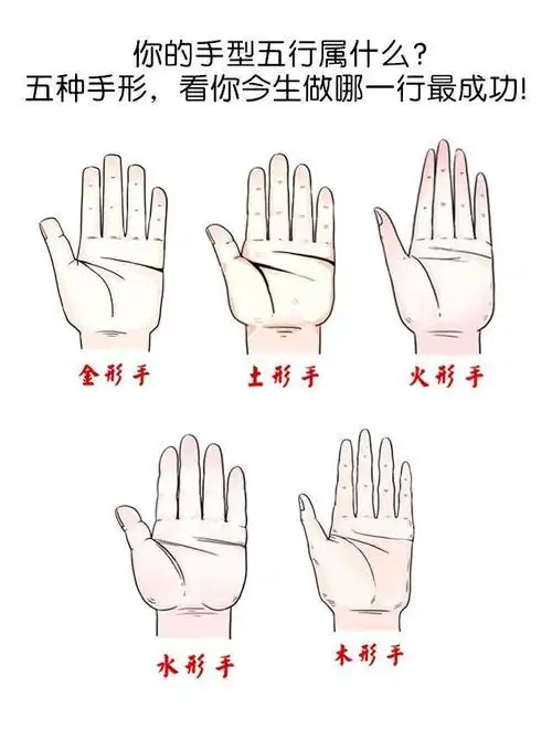 看看你的手型属什么?今生做哪行最成功