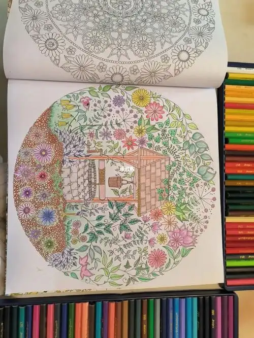 秘密花园涂色