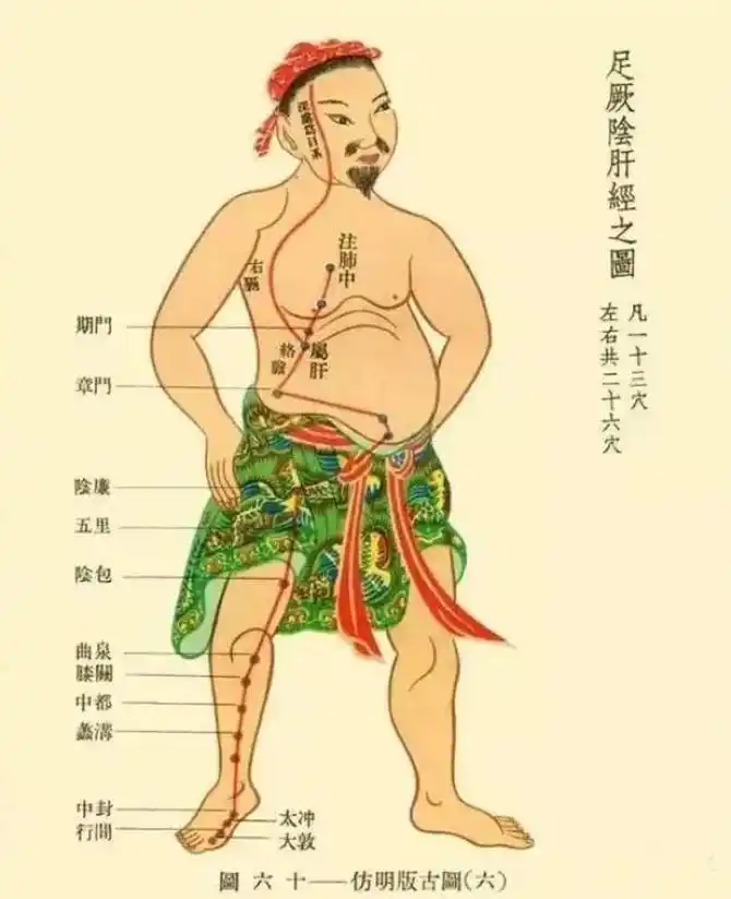 春天阳气生发,靠的就是胆经,胆主生阳.