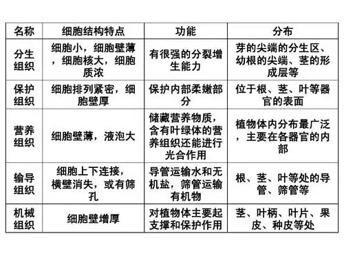 2.2.3植物体的结构层次课件(新人教版)ppt