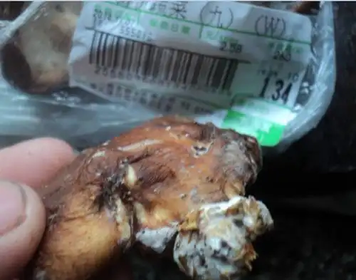 大润发香菇发霉能吃吗?