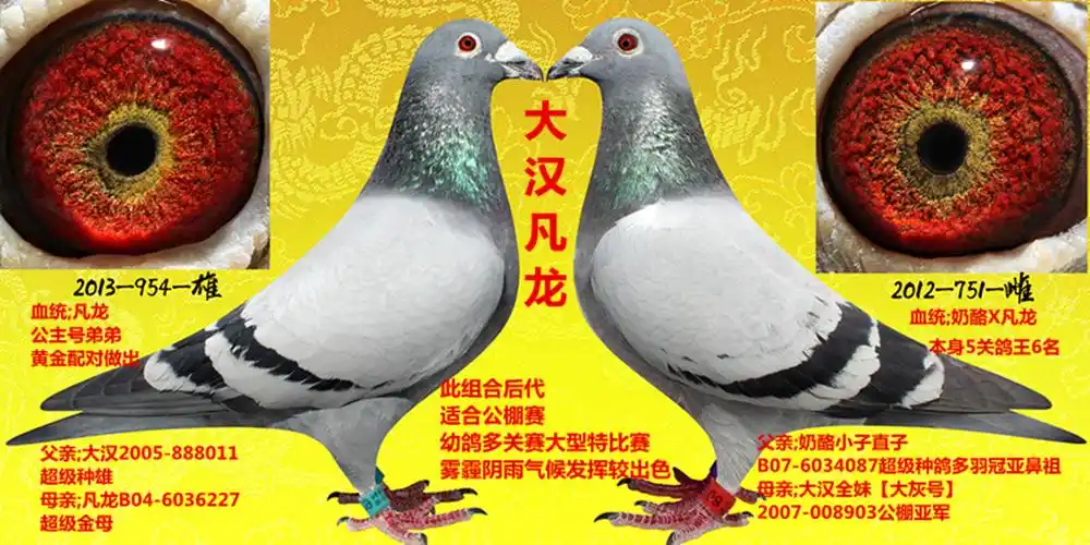 大汉凡龙 保证金级 拍卖