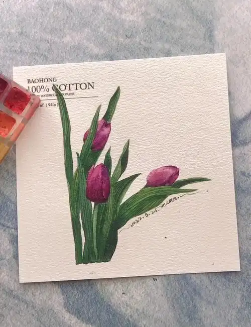 水彩教程紫郁金香的分步骤图