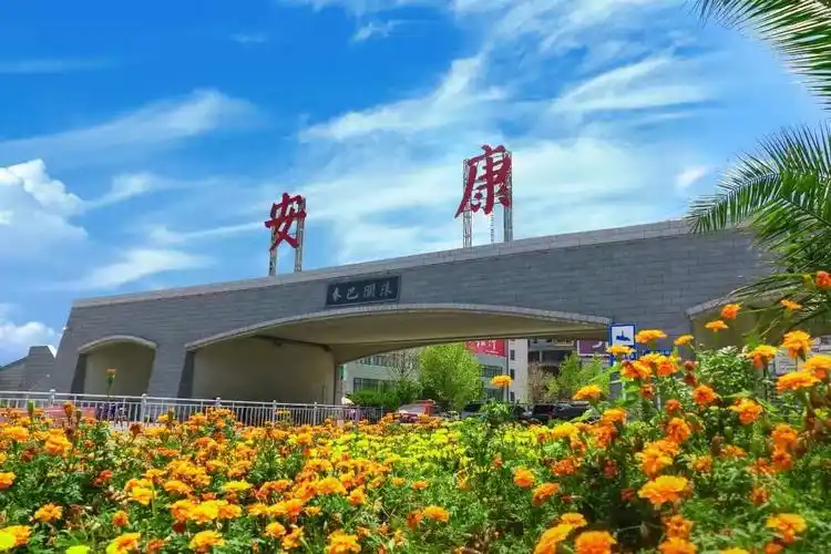 陕西安康邀重庆市民感受生态人文之美