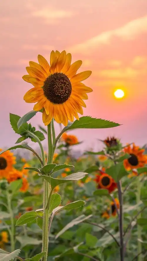 完成 健身单车强化 hiit 第43次 美好的一天从运动开始