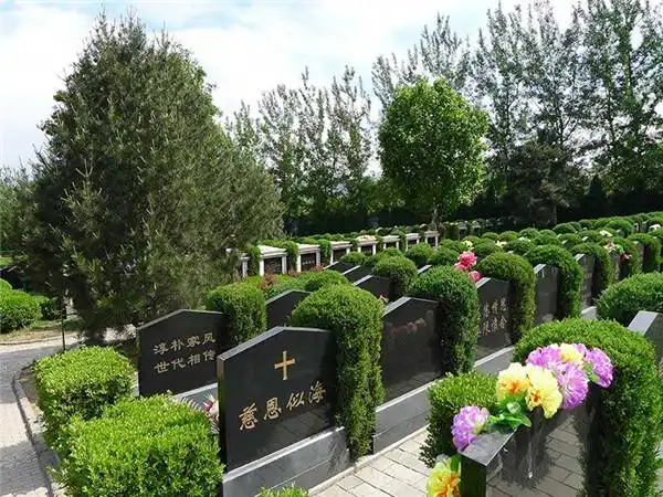 说起陈晓旭,可能有人感到熟悉,但要是说起林黛玉,脑海中浮现的必然是