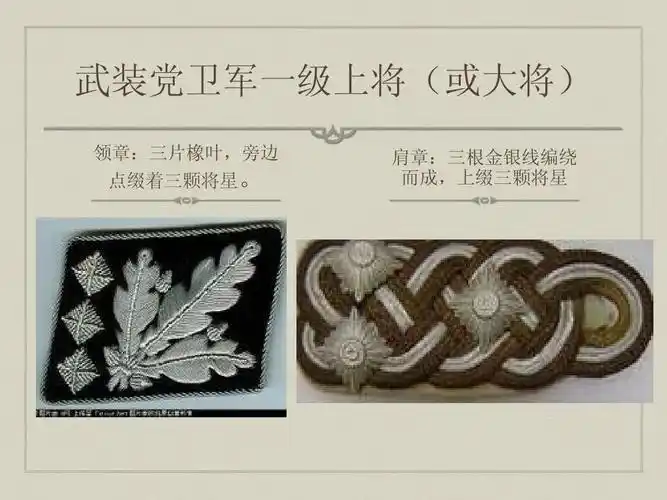 军事/政治 二战德国军装欣赏ppt 武装党卫军一级上将(或大将) 领章:三