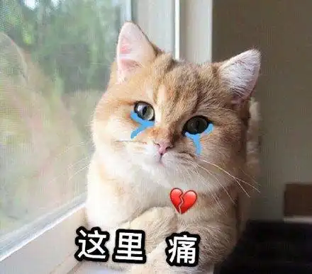 躲避黑人抬棺表情包抬棺躲避黑人表情