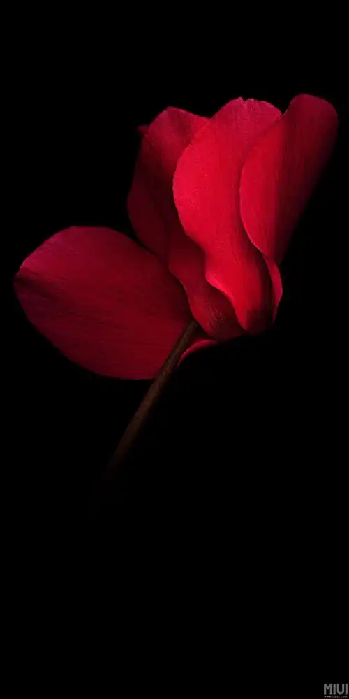 华为保时捷系列壁纸