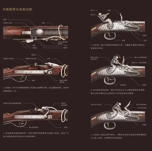 看到转轮枪,燧发枪,毛瑟枪, 汉阳造,中正式等历史名枪