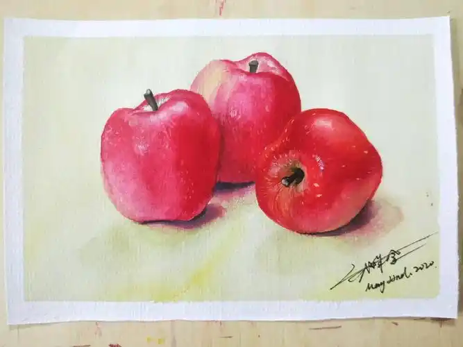 水彩之水果篇01苹果苹果