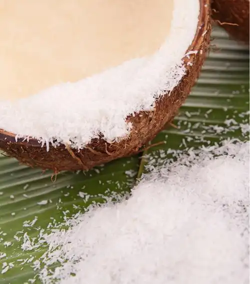 海南大型椰蓉生产厂家,专业椰子系列原料供应