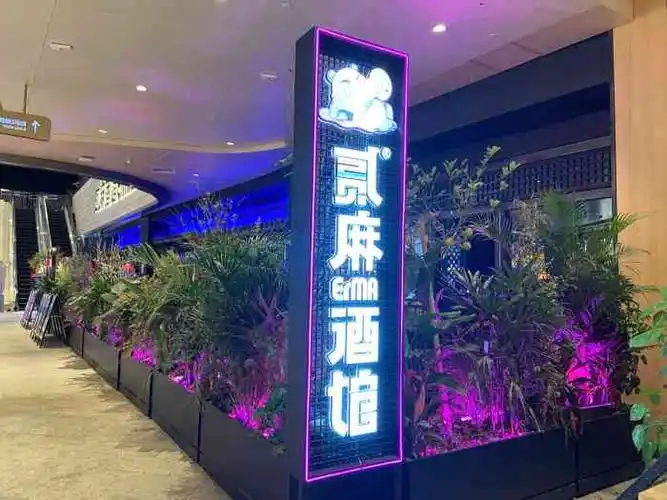贰麻酒馆(万科里店)-"好久没有去酒吧了,抽到贰麻酒馆的免费双人.