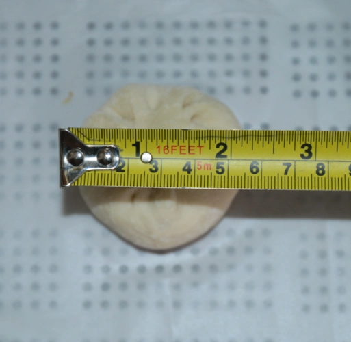 馒头8厘米长,5厘米宽.