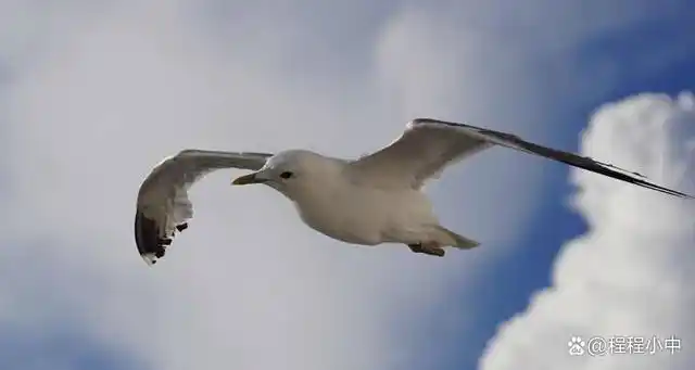 1,自由自在,意思是无拘无束﹑安闲舒适的样子.亦作"自繇自在".