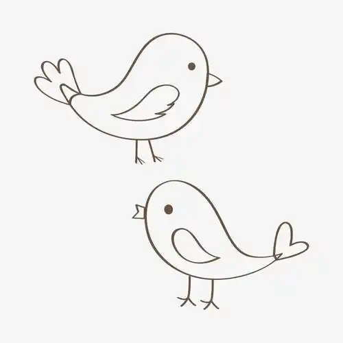 最新关于鸟的简笔画 空中的小鸟简笔画