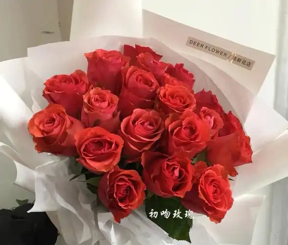 939393  939393#一束花的仪式感  #每日一花  #初吻玫瑰