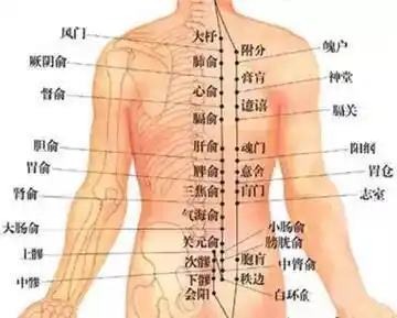 为什么要在背部拔罐90的人不知道