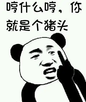 张学友熊猫头竖中指