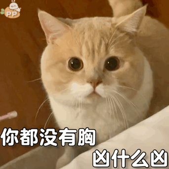 网红猫表情包萌萌哒的猫咪表情包来一波