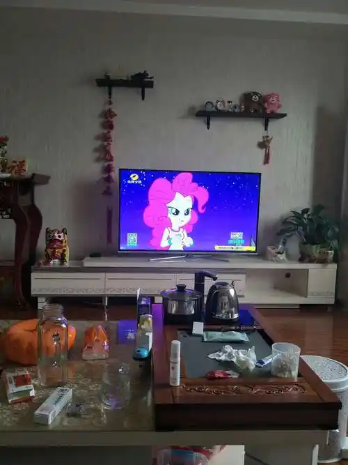 在家看电视
