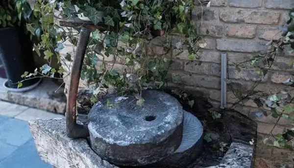 从前的石碾石磨搬进庭院了!