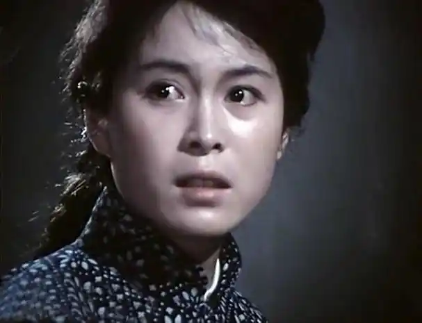 昔日女星王琴宝美丽又温柔80年代标准女友如今61岁被淡忘